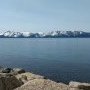 TahoeHorn