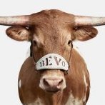 His name is BEVO