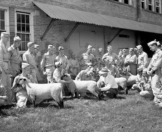 Prom week, TAMU 1936 mid.jpg