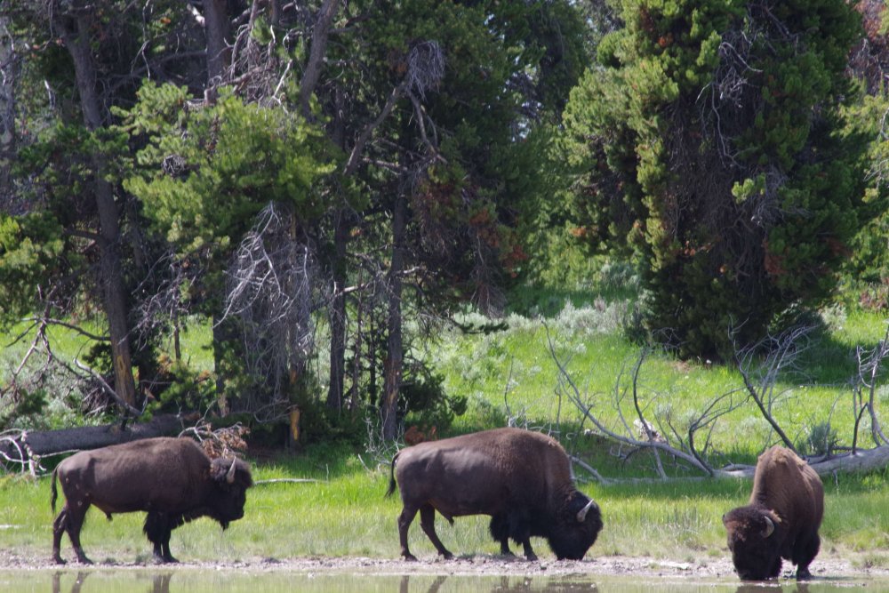 2012-01-01 00.01.14-1.jpg