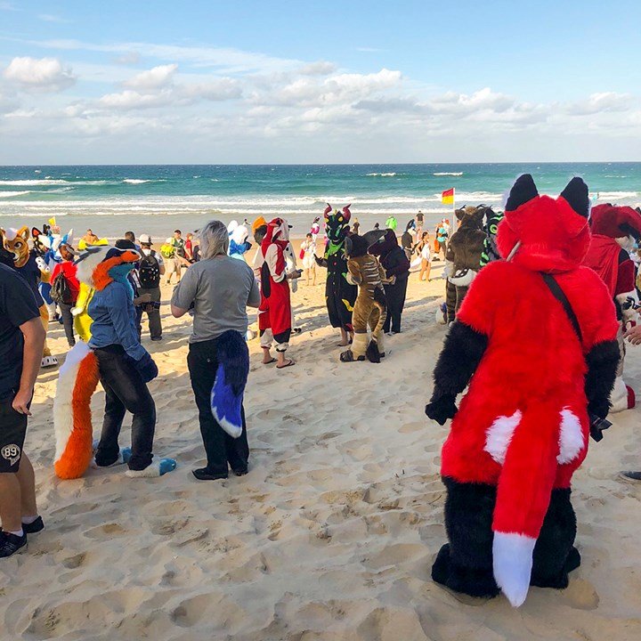 19072018-furrybeach.jpg