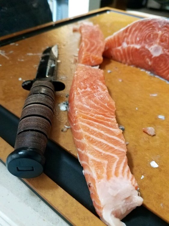 imagejpeg_0 (13).jpg