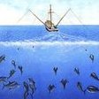 VirginiaLonghorn