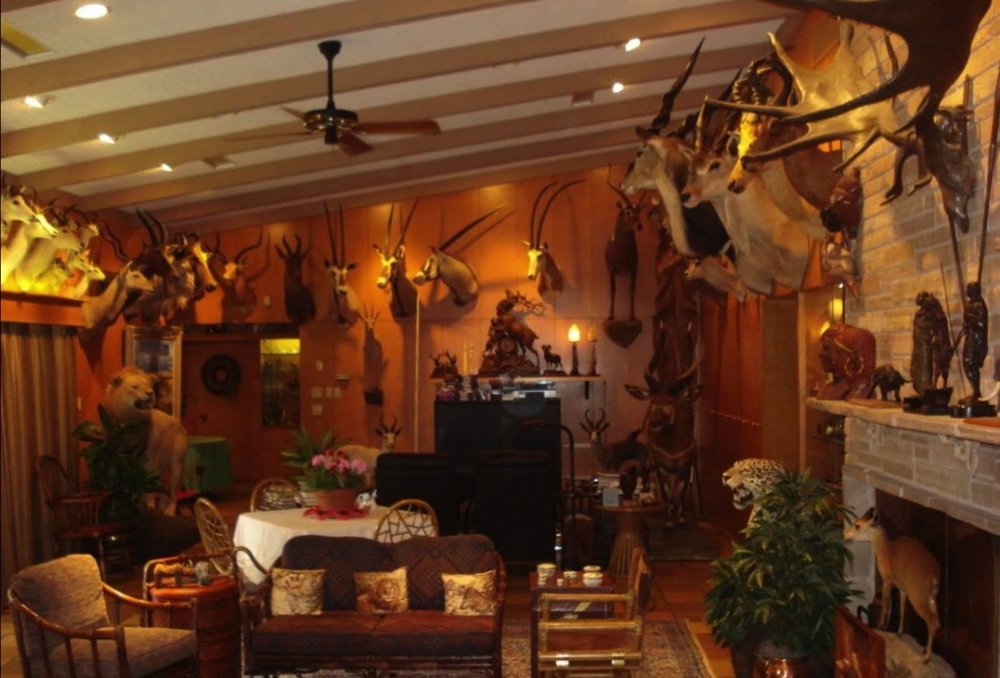 Image 2-4-21 at 8.01 AM.jpeg