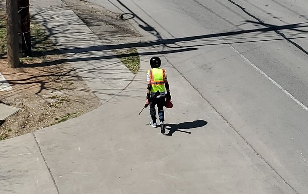 domestic white terrorist.jpg