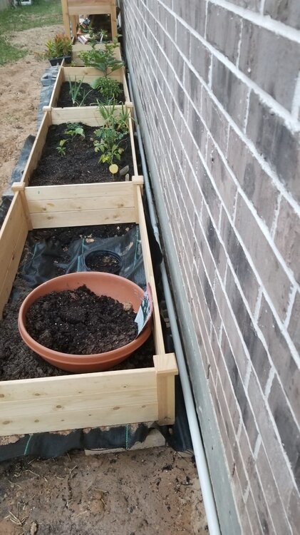 WhatsApp Image 2021-04-07 at 11.43.35 AM.jpeg