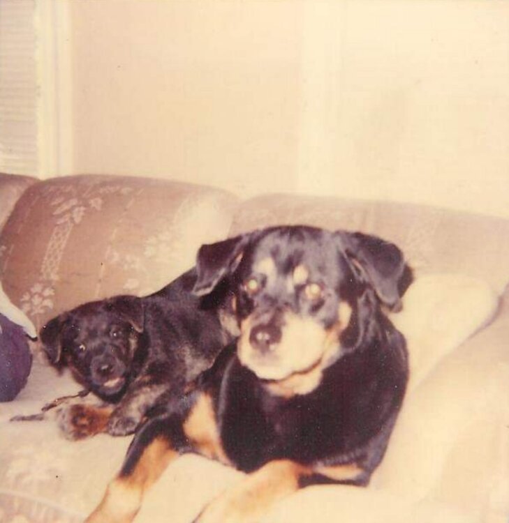 Screenshot_20210531-192826_Amazon Photos.jpg