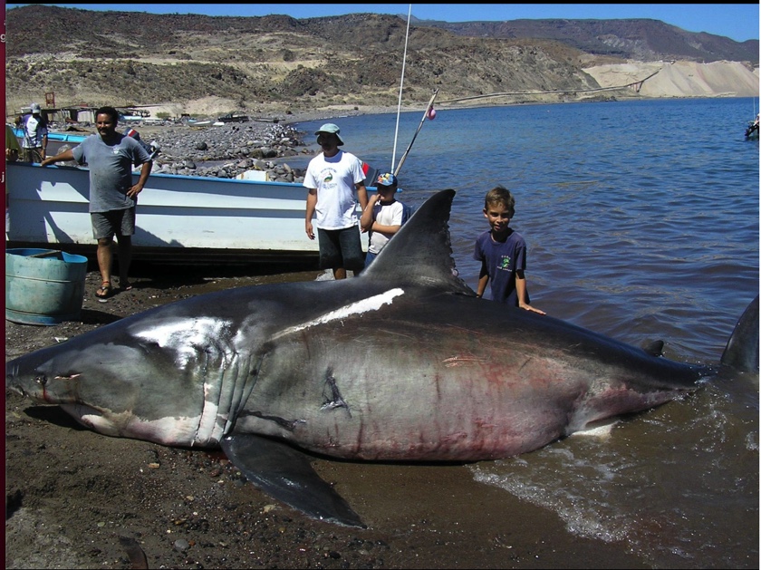 Image 5-27-21 at 7.45 AM.jpg