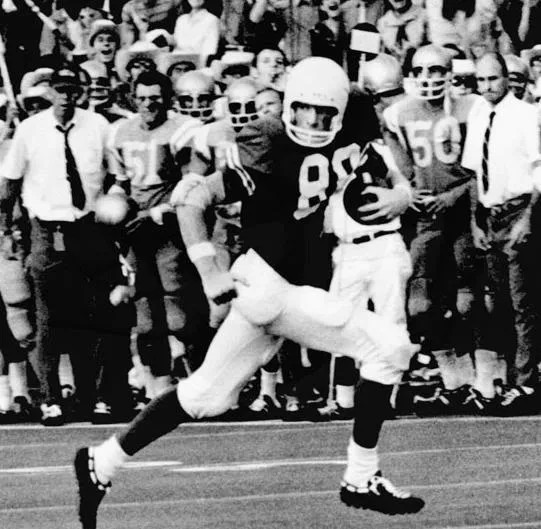 image.png.dc668173d0ca55e68f8efe6c27387b