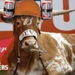 DrunkBevo
