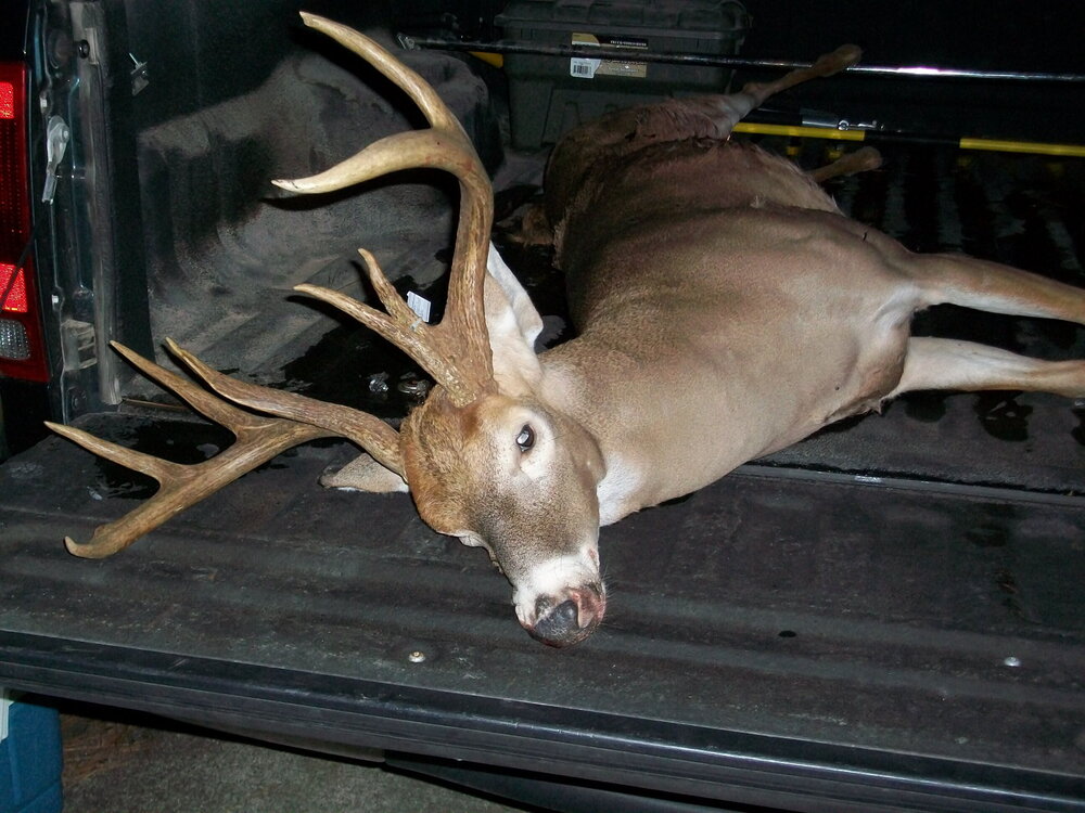 Buck Pic 3.jpg