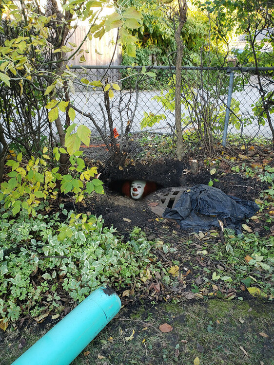 Yardhole_it.thumb.jpg.25e794f9c964b2d3d34dd7ae4a212824.jpg