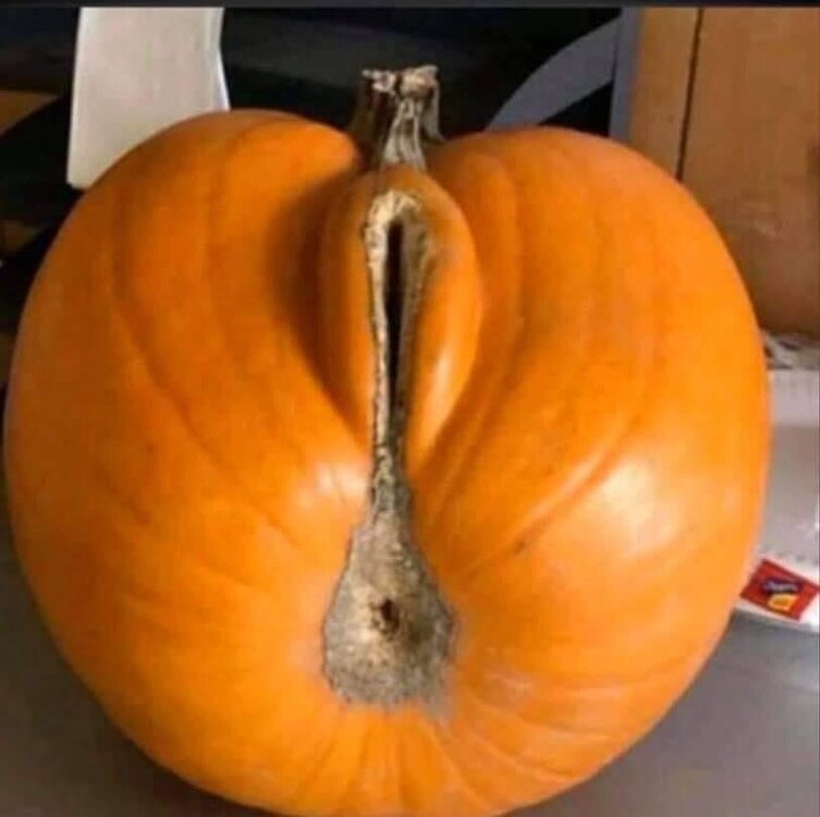 punkin.thumb.jpg.67da4fc0835d5617a5ede1e95b098a07.jpg
