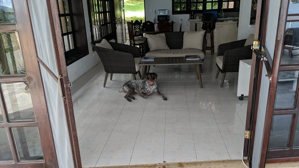 sprinkles bacalar.jpg