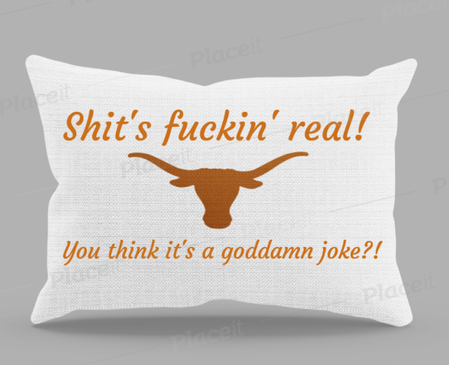 throw pillow.PNG