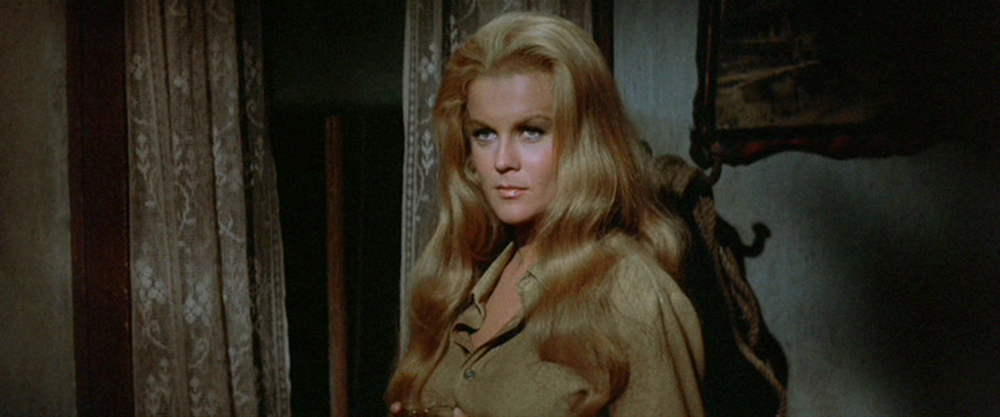 The Train Robbers.png