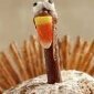 TurkeyChew