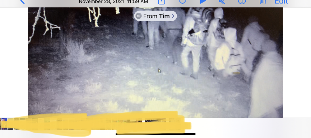 View recent photos.png