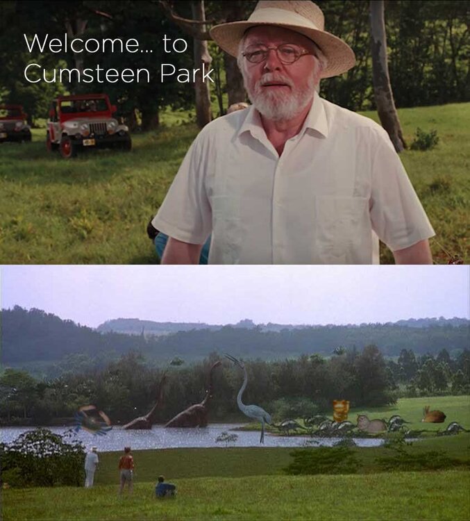 Cumsteen-Park.thumb.jpg.c3609f4a4d760756284735735dc735ae.jpg
