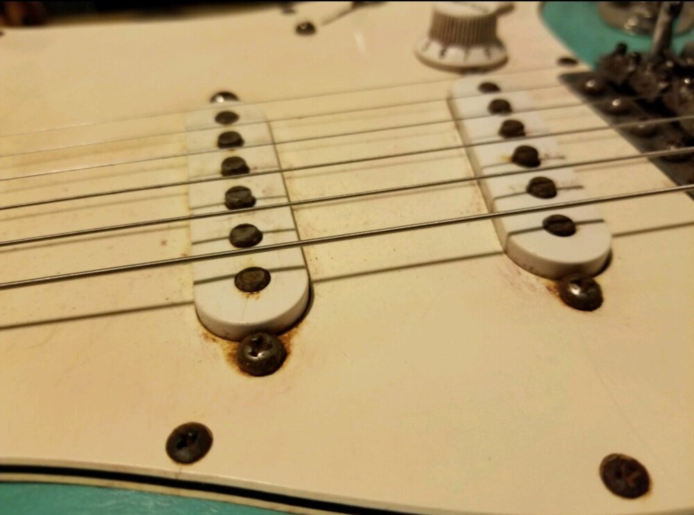 Screenshot_20220217-110807_Amazon Photos.jpg