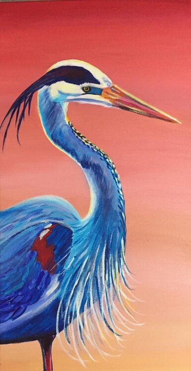 14115535_10210232389908533_1522159761471280439_o (2).jpg