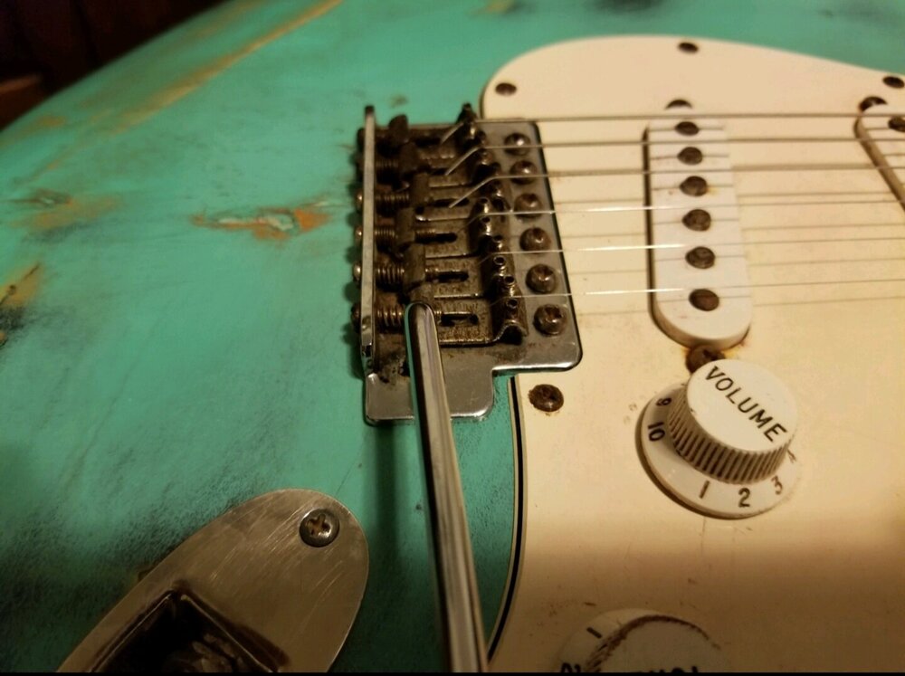 Screenshot_20220217-110755_Amazon Photos.jpg