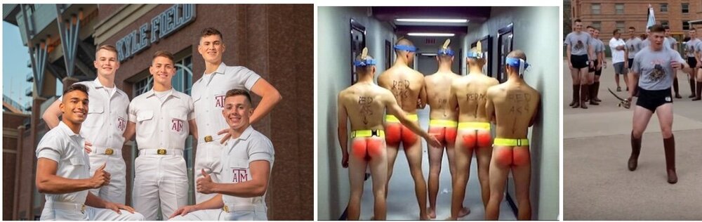 aggy alternative .jpeg