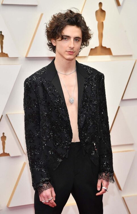 Timothee-Chalamet-Practically-Goes-Shirtless-Oscars-001.jpg