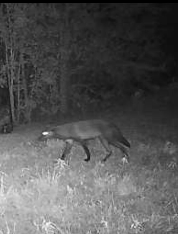 Screenshot_20220827-103524_Strike Force Wireless.jpg