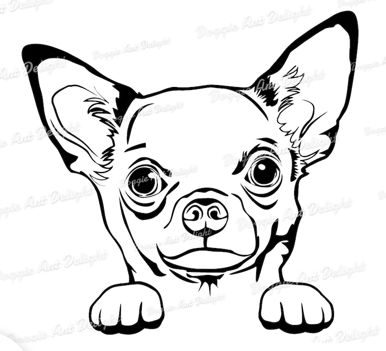 Screenshot 2022-08-24 at 10-51-14 il_1140xN.3592760461_illo.jpg (WEBP Image 1140 × 910 pixels).png