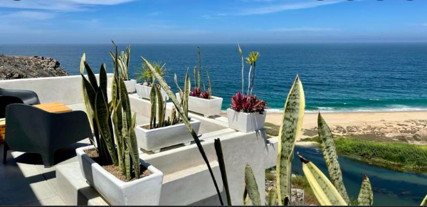 Screen Shot 2022-08-31 at 3.49.36 PM.png