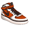 swoosh